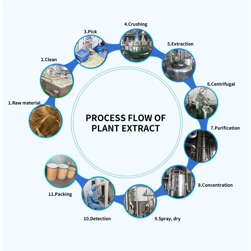 Barley Fiber Production Process